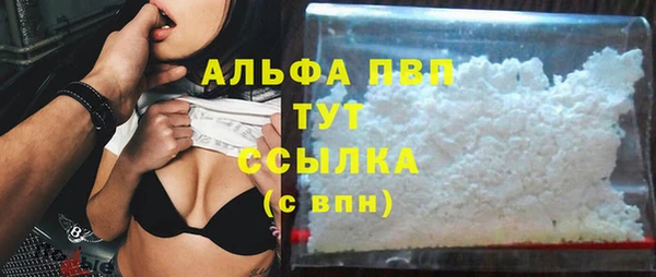 СК Бородино