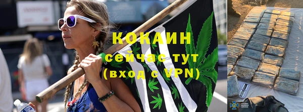 СК Бородино