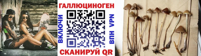 Псилоцибиновые грибы мицелий  KRAKEN ТОР  Северо-Курильск 