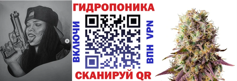 Каннабис индика  купить  цена  кракен как зайти  Северо-Курильск 